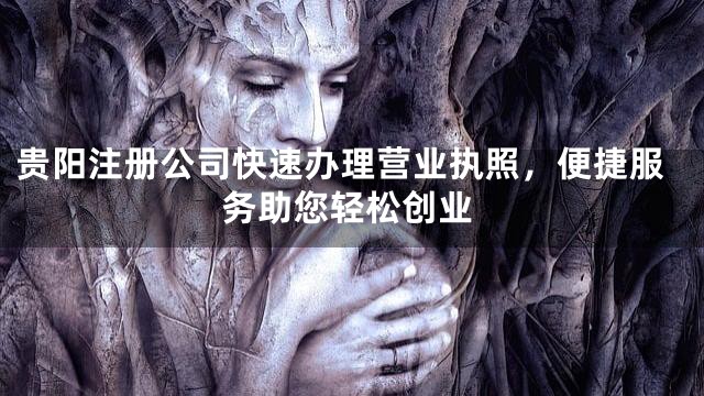 贵阳注册公司快速办理营业执照，便捷服务助您轻松创业