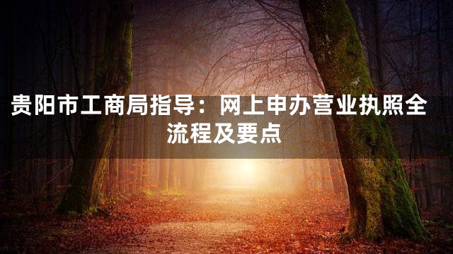 贵阳市工商局指导：网上申办营业执照全流程及要点