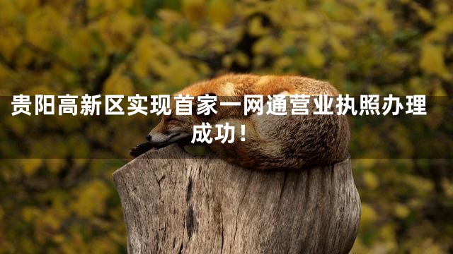 贵阳高新区实现首家一网通营业执照办理成功！