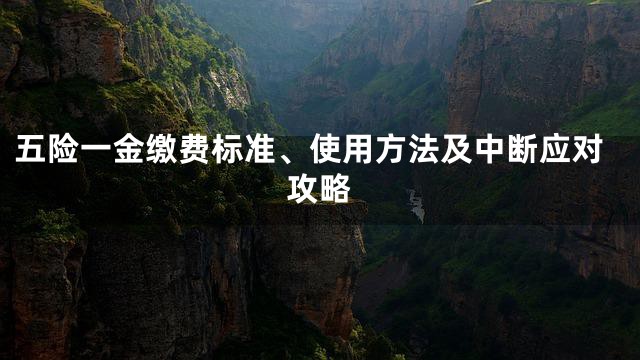 五险一金缴费标准、使用方法及中断应对攻略