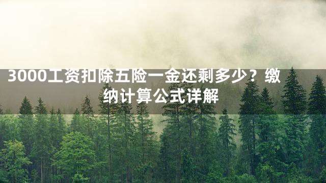 3000工资扣除五险一金还剩多少？缴纳计算公式详解