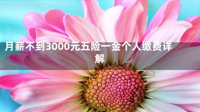 月薪不到3000元五险一金个人缴费详解