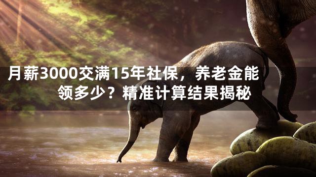 月薪3000交满15年社保，养老金能领多少？精准计算结果揭秘