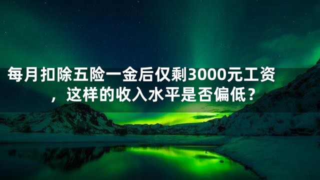 每月扣除五险一金后仅剩3000元工资，这样的收入水平是否偏低？