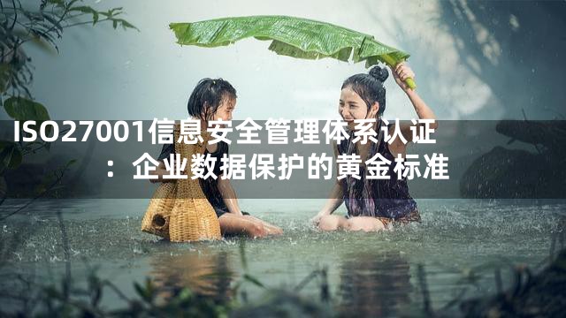 ISO27001信息安全管理体系认证：企业数据保护的黄金标准