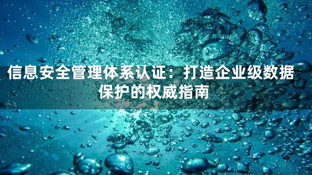信息安全管理体系认证：打造企业级数据保护的权威指南