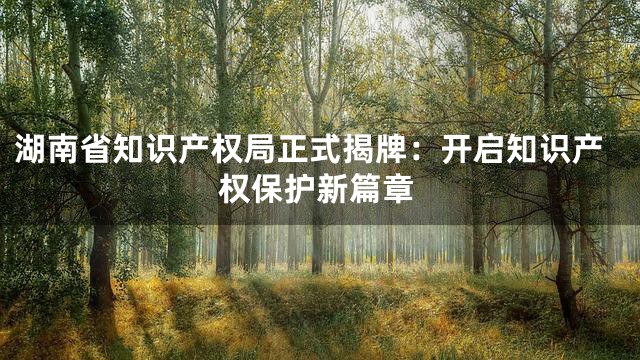 湖南省知识产权局正式揭牌：开启知识产权保护新篇章