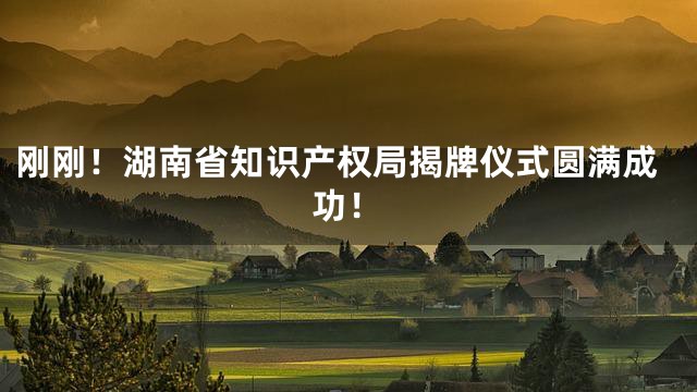 刚刚！湖南省知识产权局揭牌仪式圆满成功！