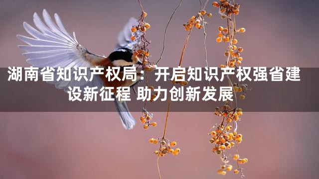湖南省知识产权局：开启知识产权强省建设新征程 助力创新发展