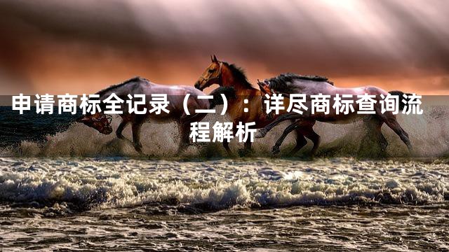 申请商标全记录（二）：详尽商标查询流程解析