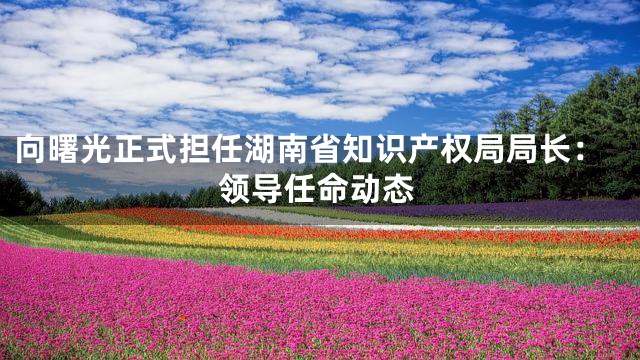 向曙光正式担任湖南省知识产权局局长：领导任命动态