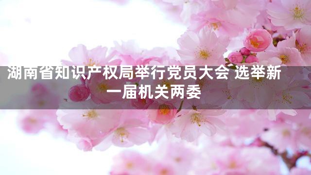 湖南省知识产权局举行党员大会 选举新一届机关两委