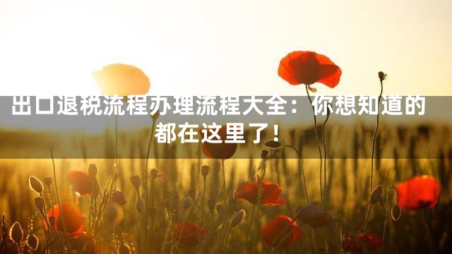 出口退税流程办理流程大全：你想知道的都在这里了！