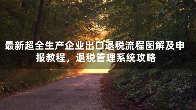 最新超全生产企业出口退税流程图解及申报教程，退税管理系统攻略