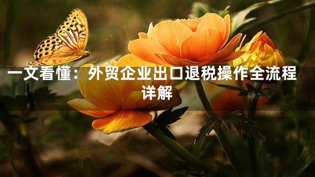 一文看懂：外贸企业出口退税操作全流程详解