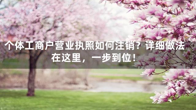 个体工商户营业执照如何注销？详细做法在这里，一步到位！