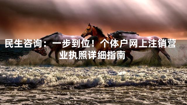 民生咨询：一步到位！个体户网上注销营业执照详细指南