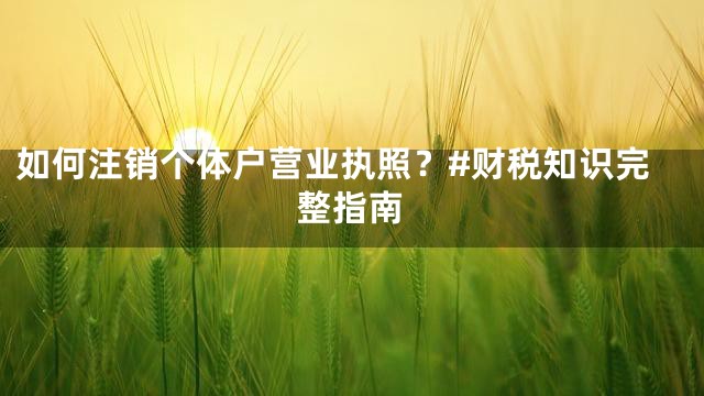 如何注销个体户营业执照？#财税知识完整指南