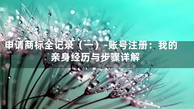 申请商标全记录（一）-账号注册：我的亲身经历与步骤详解