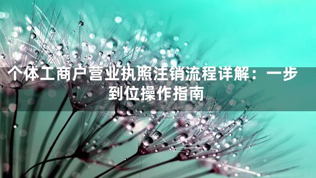 个体工商户营业执照注销流程详解：一步到位操作指南