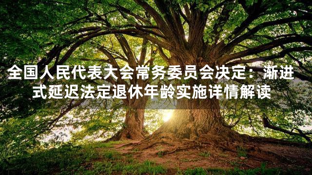 全国人民代表大会常务委员会决定：渐进式延迟法定退休年龄实施详情解读