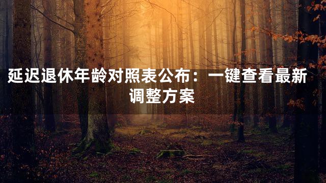 延迟退休年龄对照表公布：一键查看最新调整方案