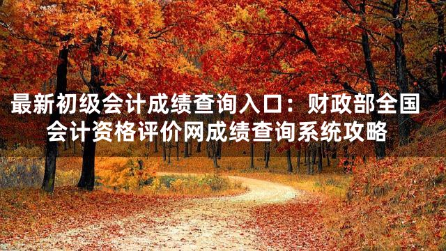 最新初级会计成绩查询入口：财政部全国会计资格评价网成绩查询系统攻略