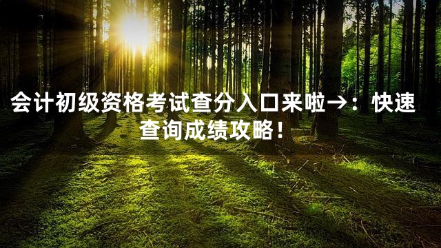 会计初级资格考试查分入口来啦→：快速查询成绩攻略！