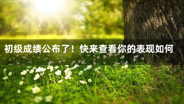 初级成绩公布了！快来查看你的表现如何