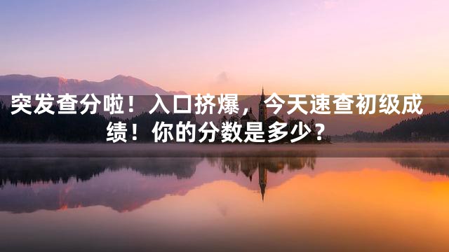 突发查分啦！入口挤爆，今天速查初级成绩！你的分数是多少？