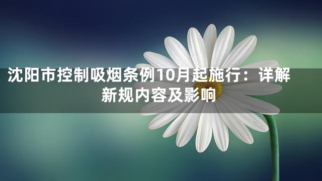沈阳市控制吸烟条例10月起施行：详解新规内容及影响