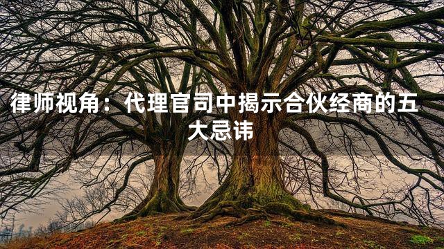 律师视角：代理官司中揭示合伙经商的五大忌讳
