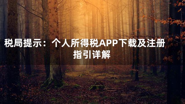 税局提示：个人所得税APP下载及注册指引详解