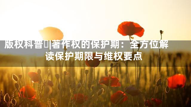 版权科普⑰|著作权的保护期：全方位解读保护期限与维权要点