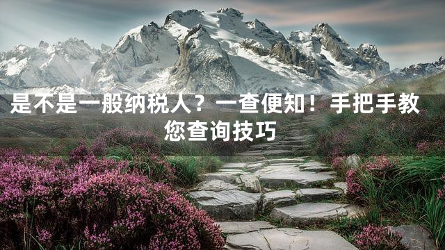 是不是一般纳税人？一查便知！手把手教您查询技巧