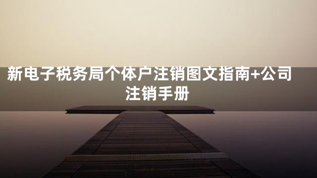 新电子税务局个体户注销图文指南+公司注销手册
