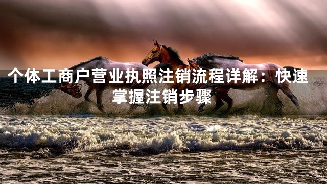 个体工商户营业执照注销流程详解：快速掌握注销步骤