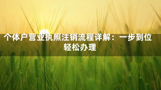 个体户营业执照注销流程详解：一步到位轻松办理