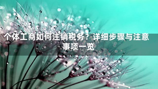 个体工商如何注销税务？详细步骤与注意事项一览