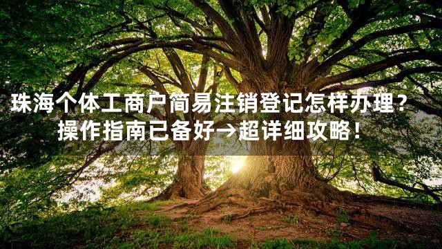 珠海个体工商户简易注销登记怎样办理？操作指南已备好→超详细攻略！