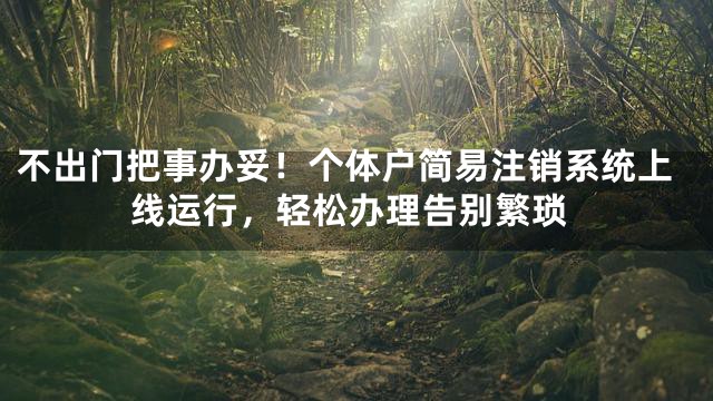 不出门把事办妥！个体户简易注销系统上线运行，轻松办理告别繁琐