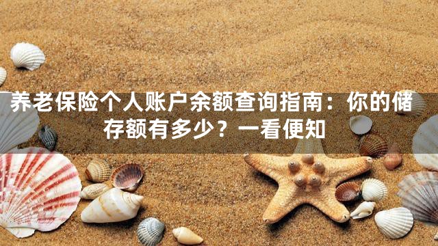 养老保险个人账户余额查询指南：你的储存额有多少？一看便知