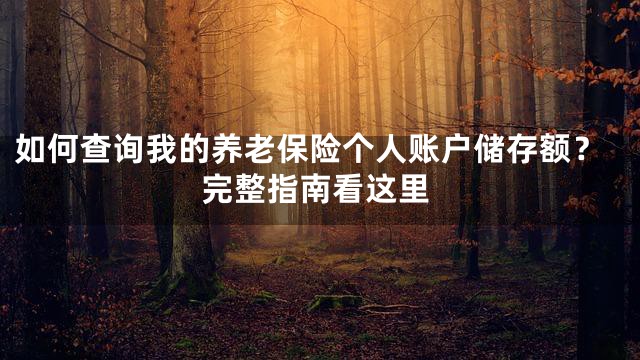 如何查询我的养老保险个人账户储存额？完整指南看这里