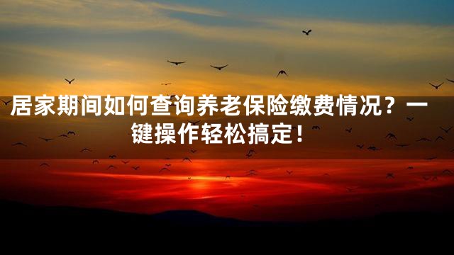 居家期间如何查询养老保险缴费情况？一键操作轻松搞定！