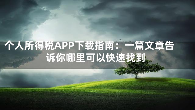 个人所得税APP下载指南：一篇文章告诉你哪里可以快速找到