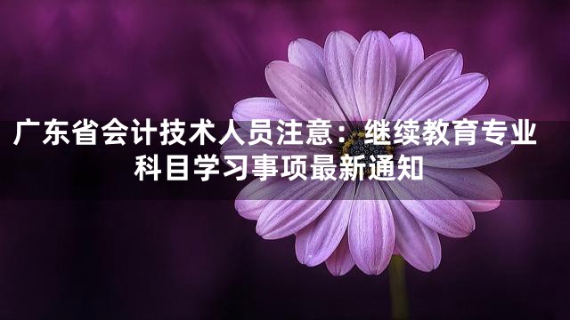 广东省会计技术人员注意：继续教育专业科目学习事项最新通知