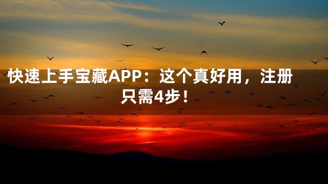 快速上手宝藏APP：这个真好用，注册只需4步！