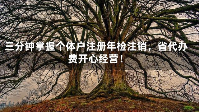 三分钟掌握个体户注册年检注销，省代办费开心经营！