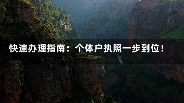 快速办理指南：个体户执照一步到位！