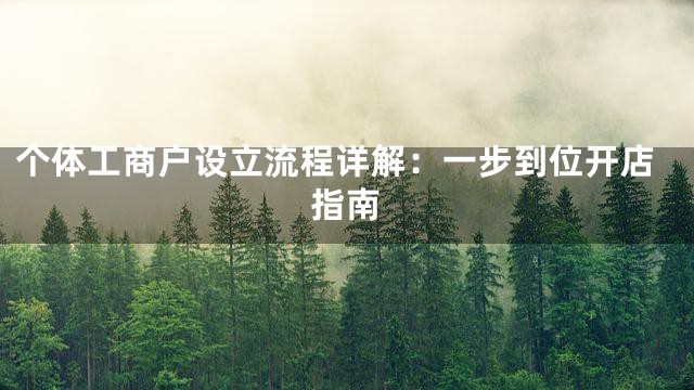 个体工商户设立流程详解：一步到位开店指南